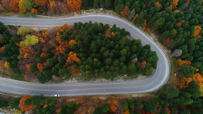 Sonbahar Uludağ'ı rengarenk ağaçlarla süsledi